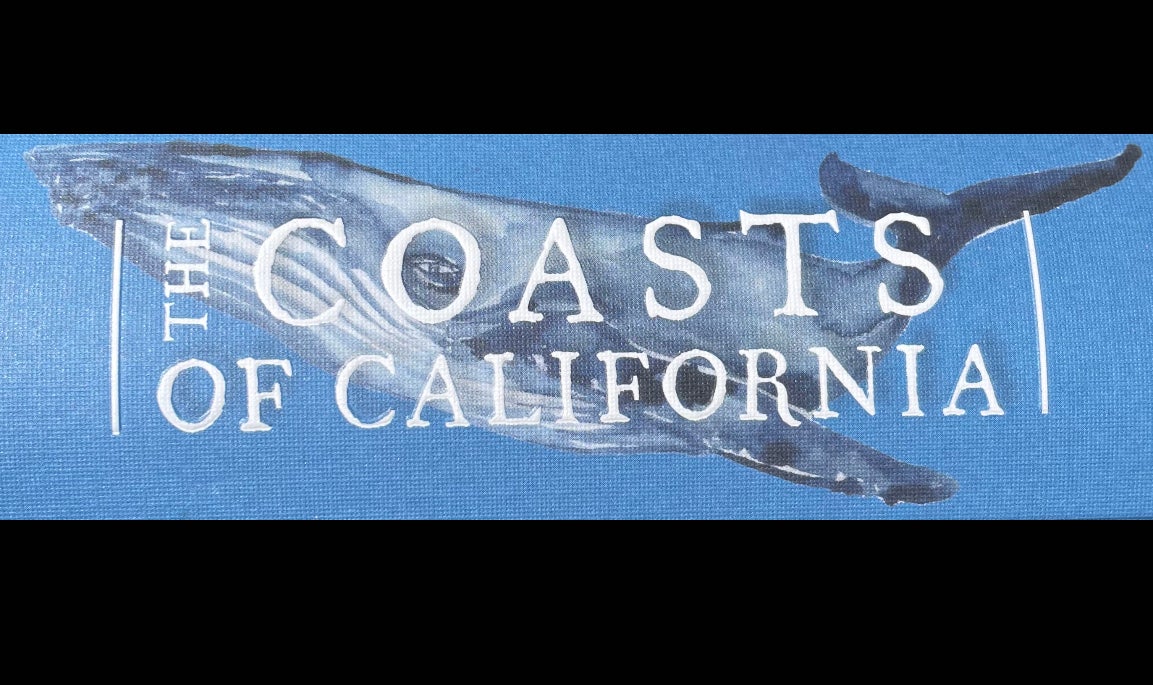 The Coasts of California