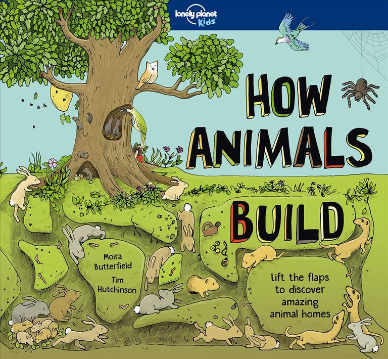 Item #25852 How Animals Build. Moira Butterfield, Tim Hutchinson.