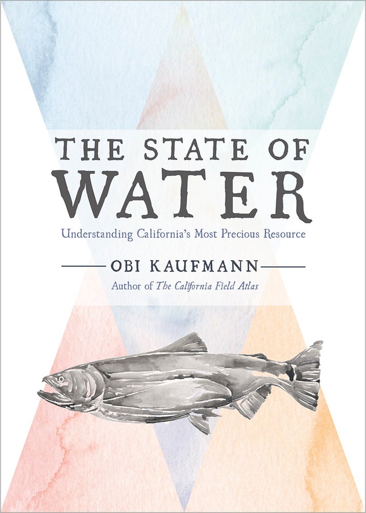Item #25874 The State of Water. Obi Kaufmann.