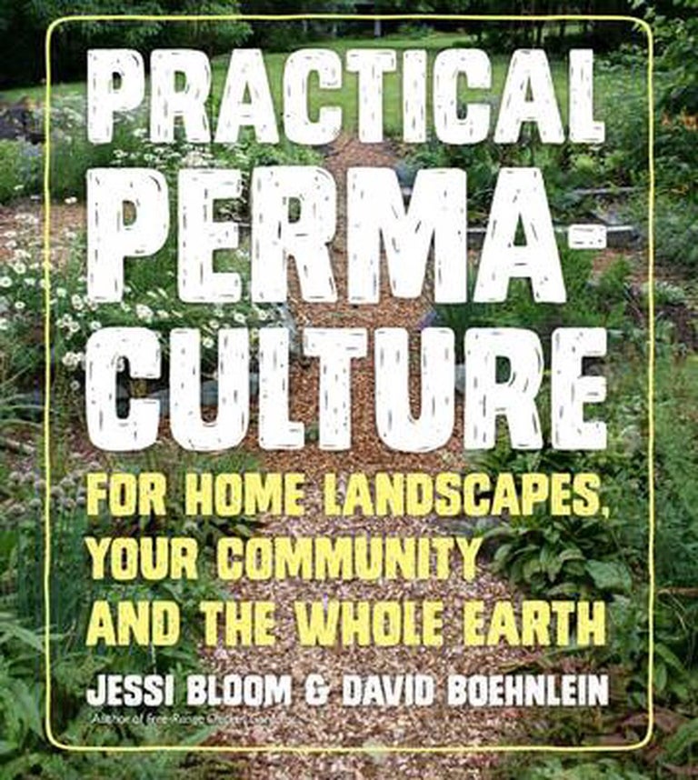 Item #26190 Practical Permaculture: For Home Landscapes, Your Community, and the Whole Earth. Jessi Bloom, Dave Boehnlein, Authors.