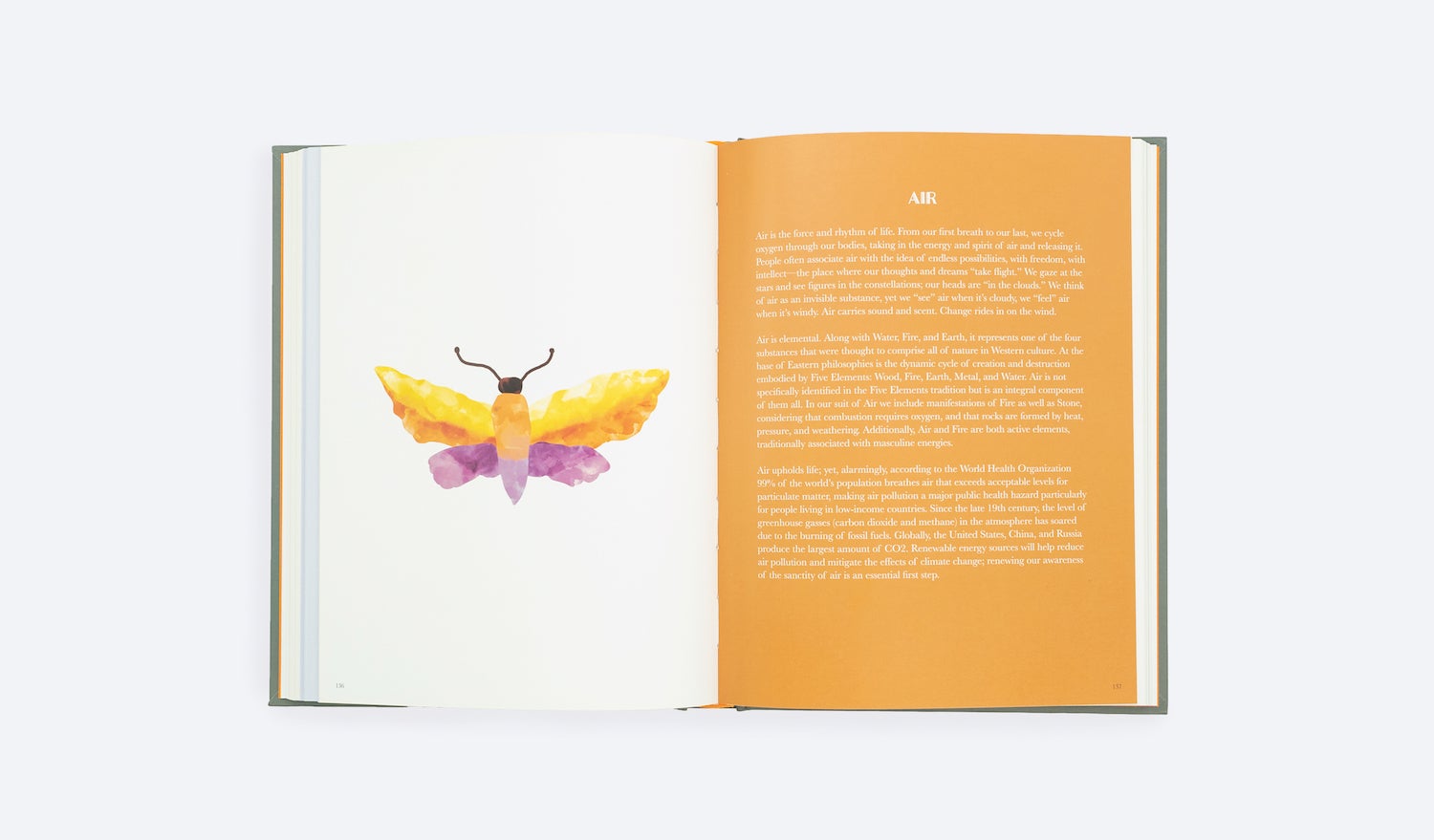 Wisdom of Place: Recovering the Sacred Origins of Landscape | Elizabeth ...