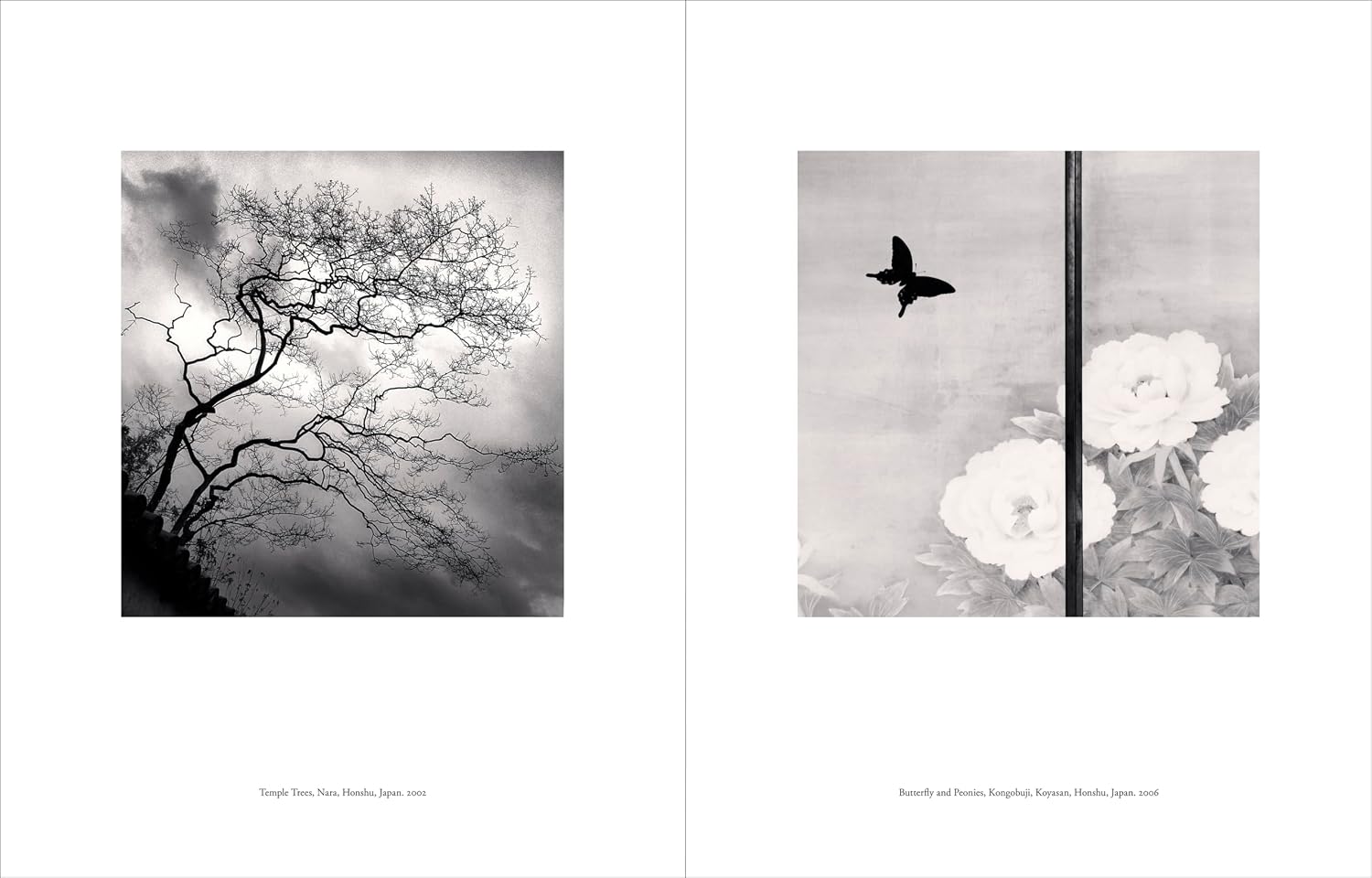 Japan / A Love Story | Michael Kenna