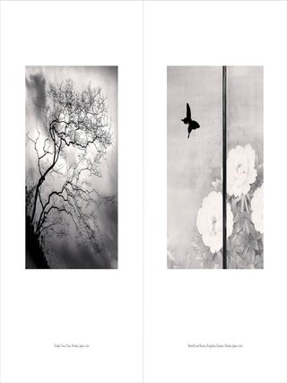Japan / A Love Story