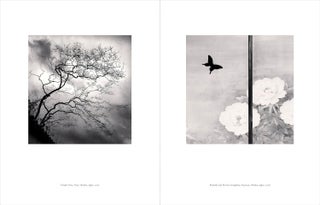 Japan / A Love Story